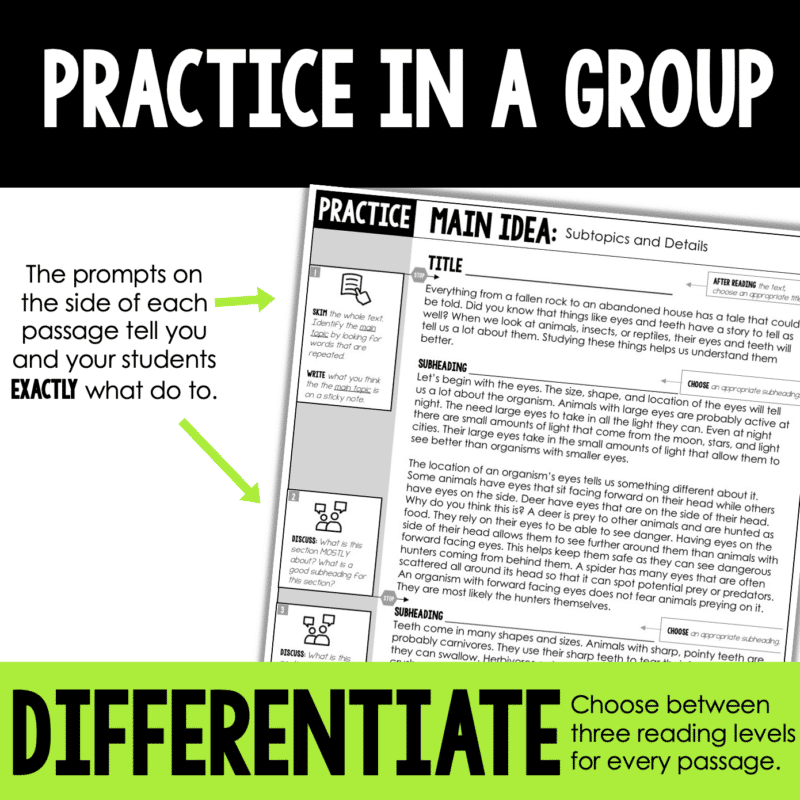 Reading Strategy Groups: Small Group Reading Lessons with Passages BUNDLE
